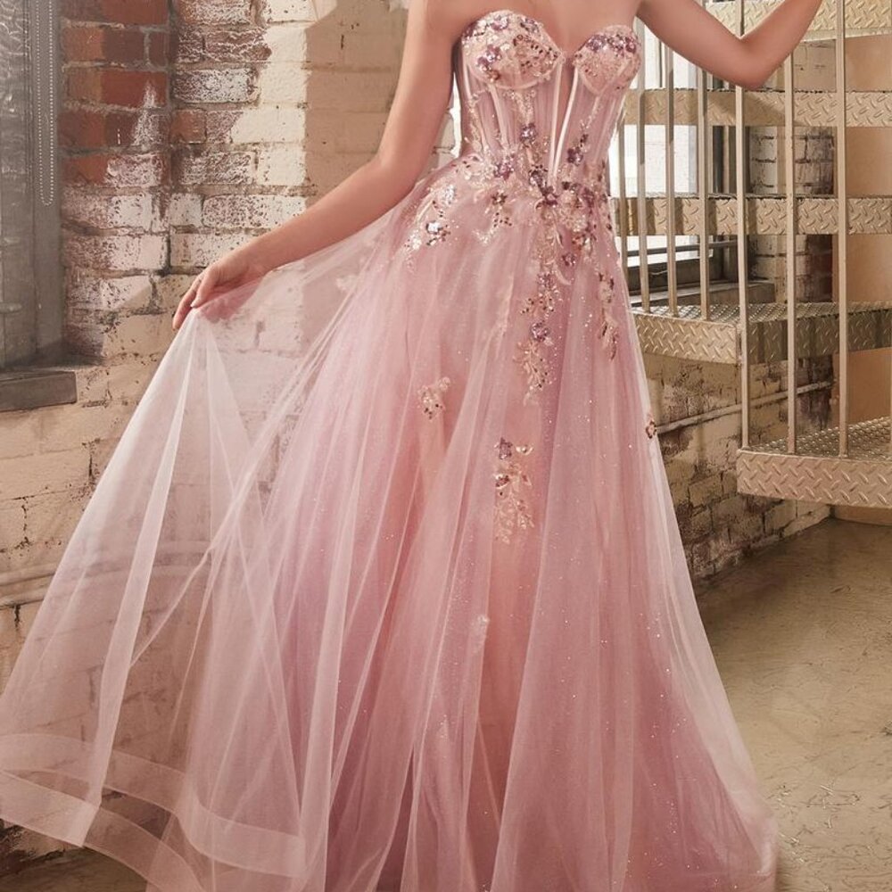 Ladivine Pink Fairytaile A line Gala Prom Grad Dress Tulle CB142
